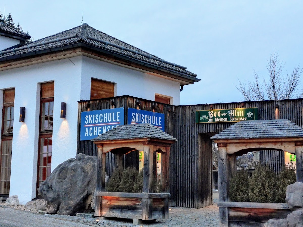 Seealm Am Kleinen Achensee